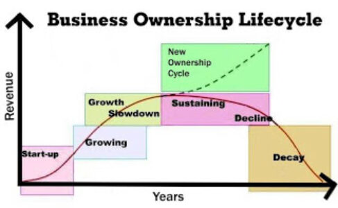 Business Lifecyle Curve