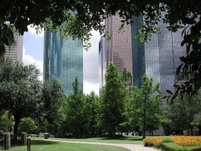 Houston Skyline through trees