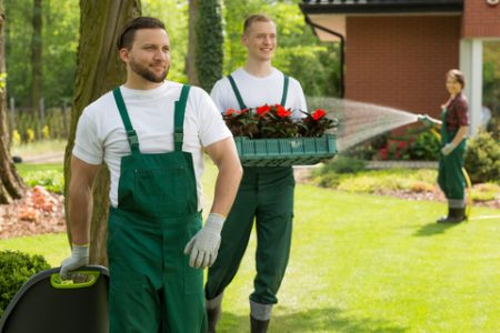 Garden heroes making every backyard a masterpiece