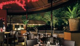 Ambrosia closing