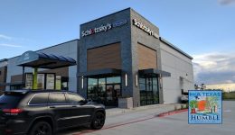 Schlotzkypic in humble