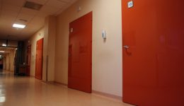 wood doors manufacturer dreamstime_xs_85972015